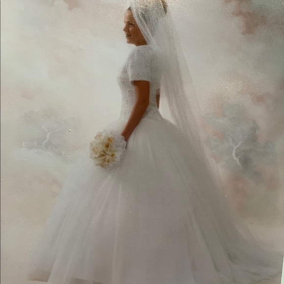 Vintage Lazaro wedding gown size 10 - Picture 4 of 8